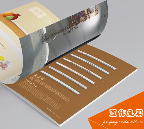 ��������(c��)